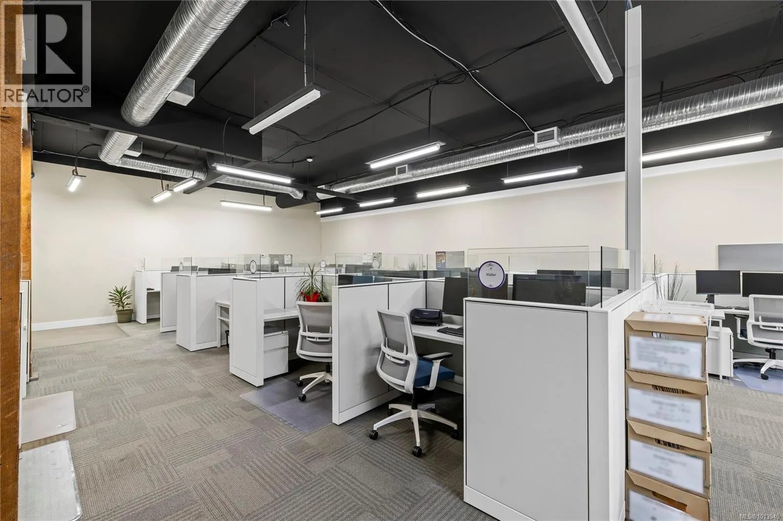 25 Cavan St