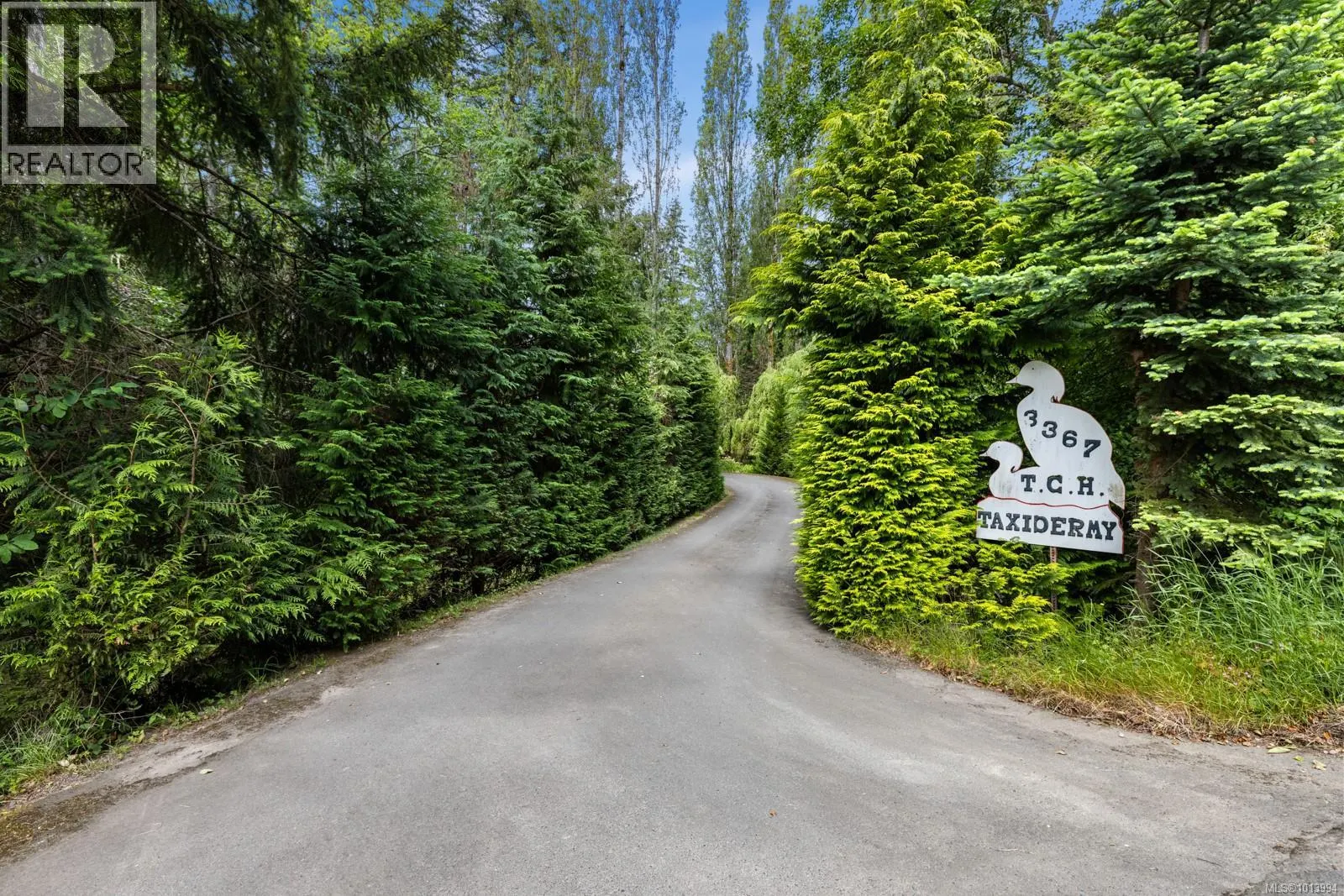 3367 Trans Canada Hwy