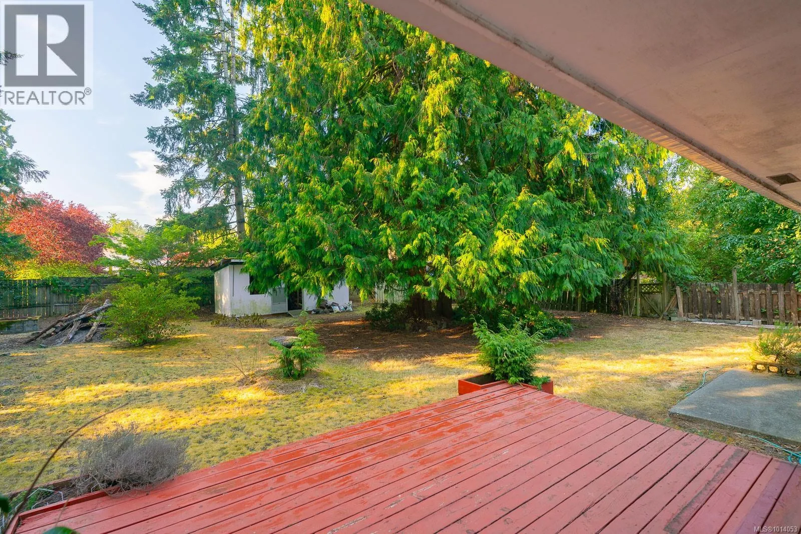 2237 Blue Jay Way