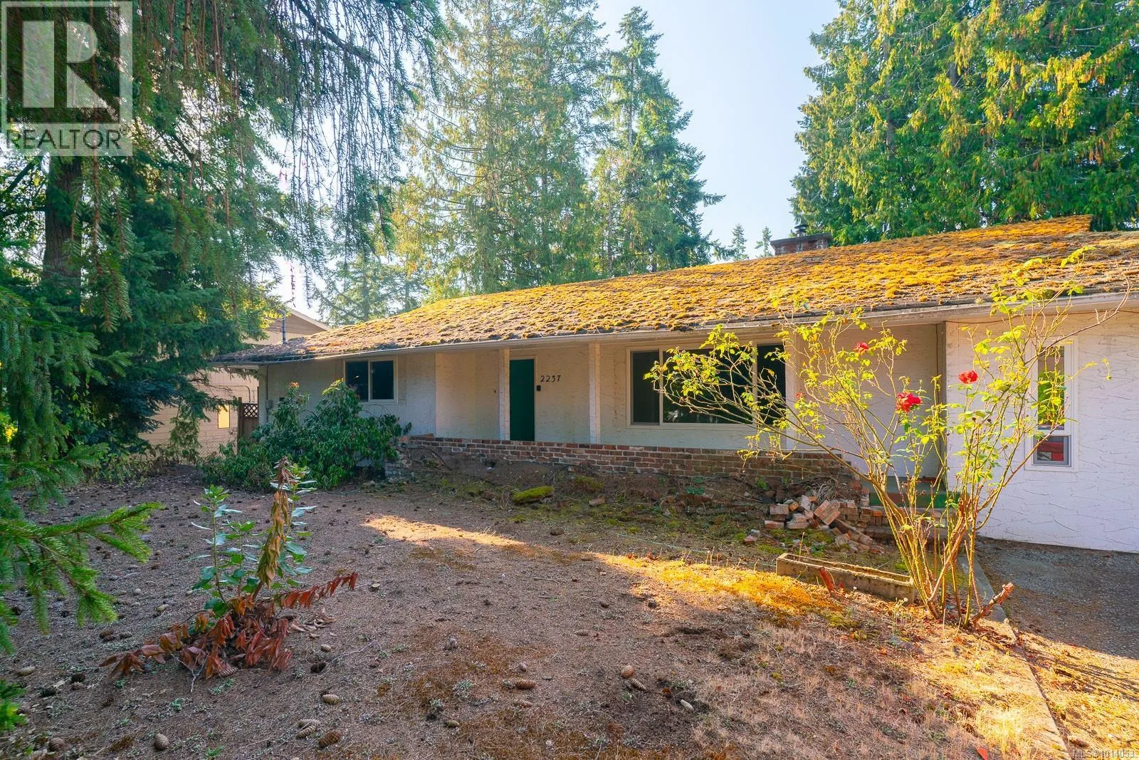 2237 Blue Jay Way