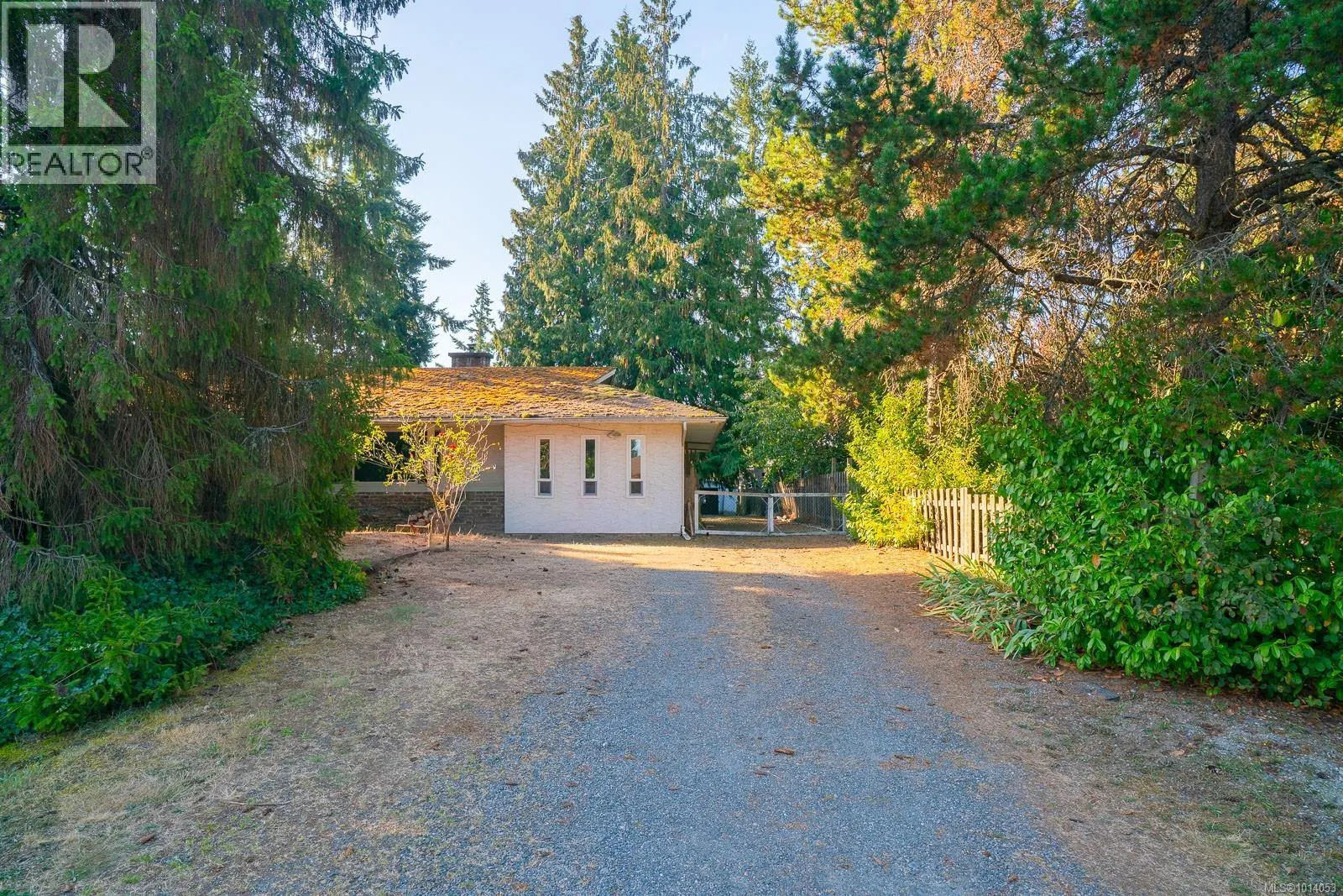 2237 Blue Jay Way