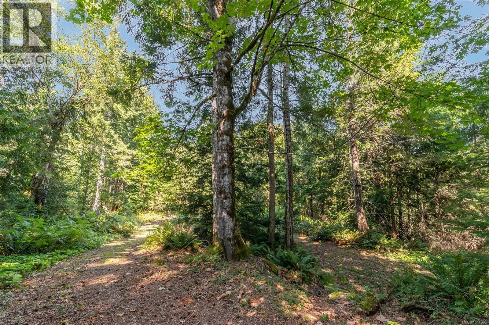 1375 Dolly Varden Way