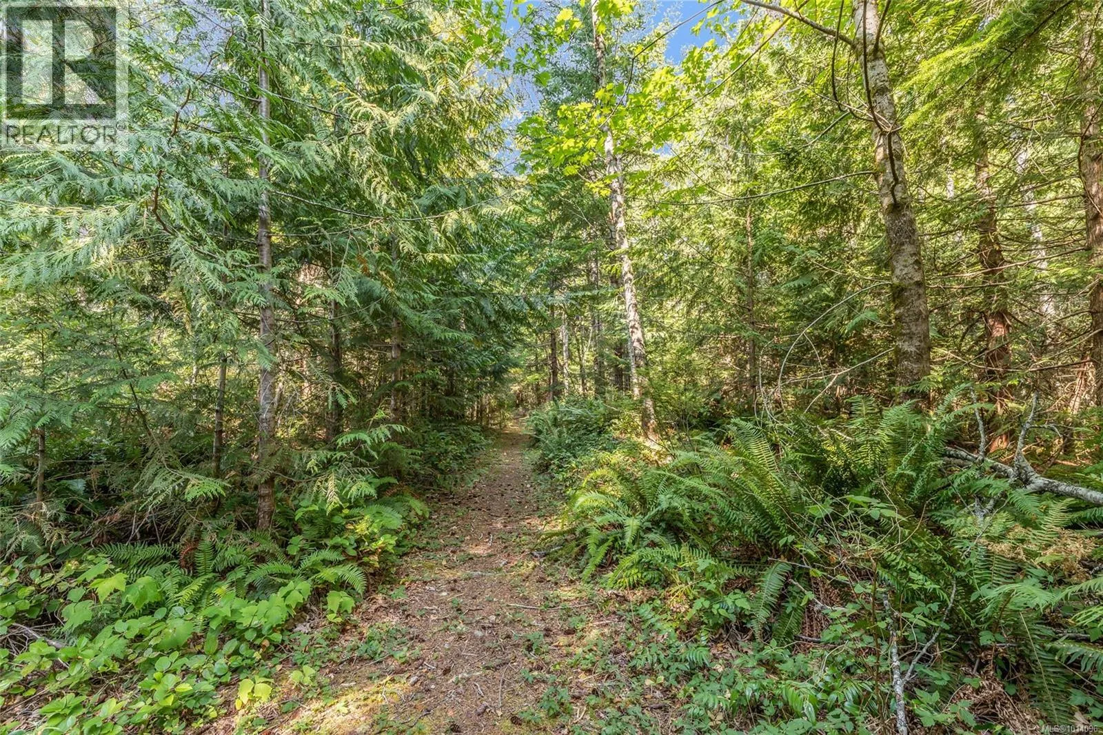 1375 Dolly Varden Way