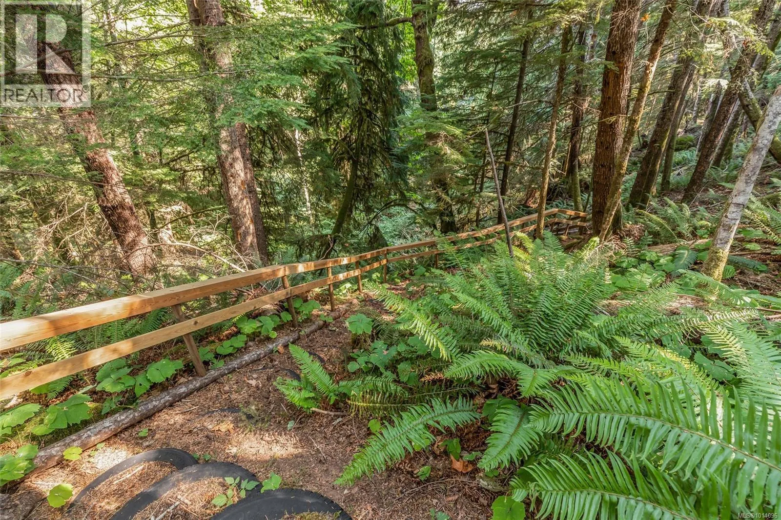 1375 Dolly Varden Way