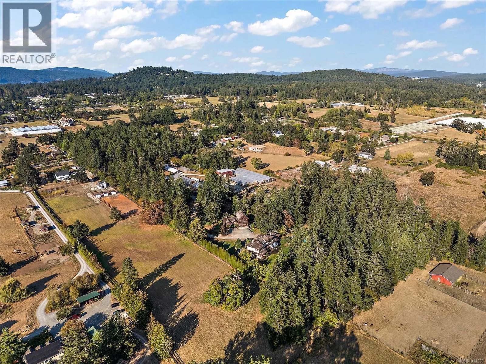 845 Downey Rd
