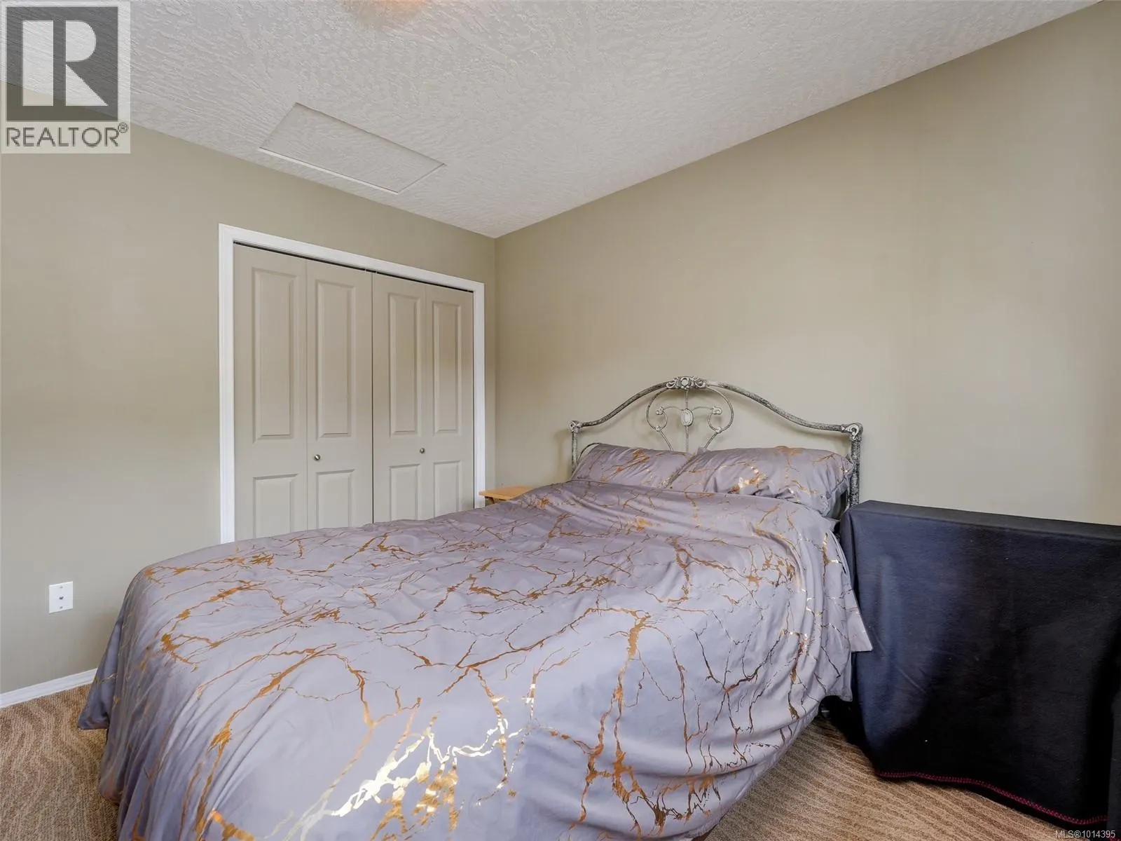641 Olympia Ridge