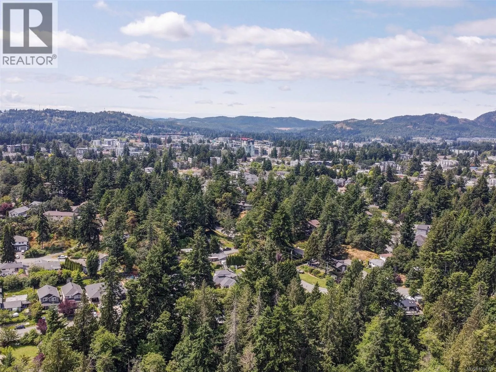 641 Olympia Ridge