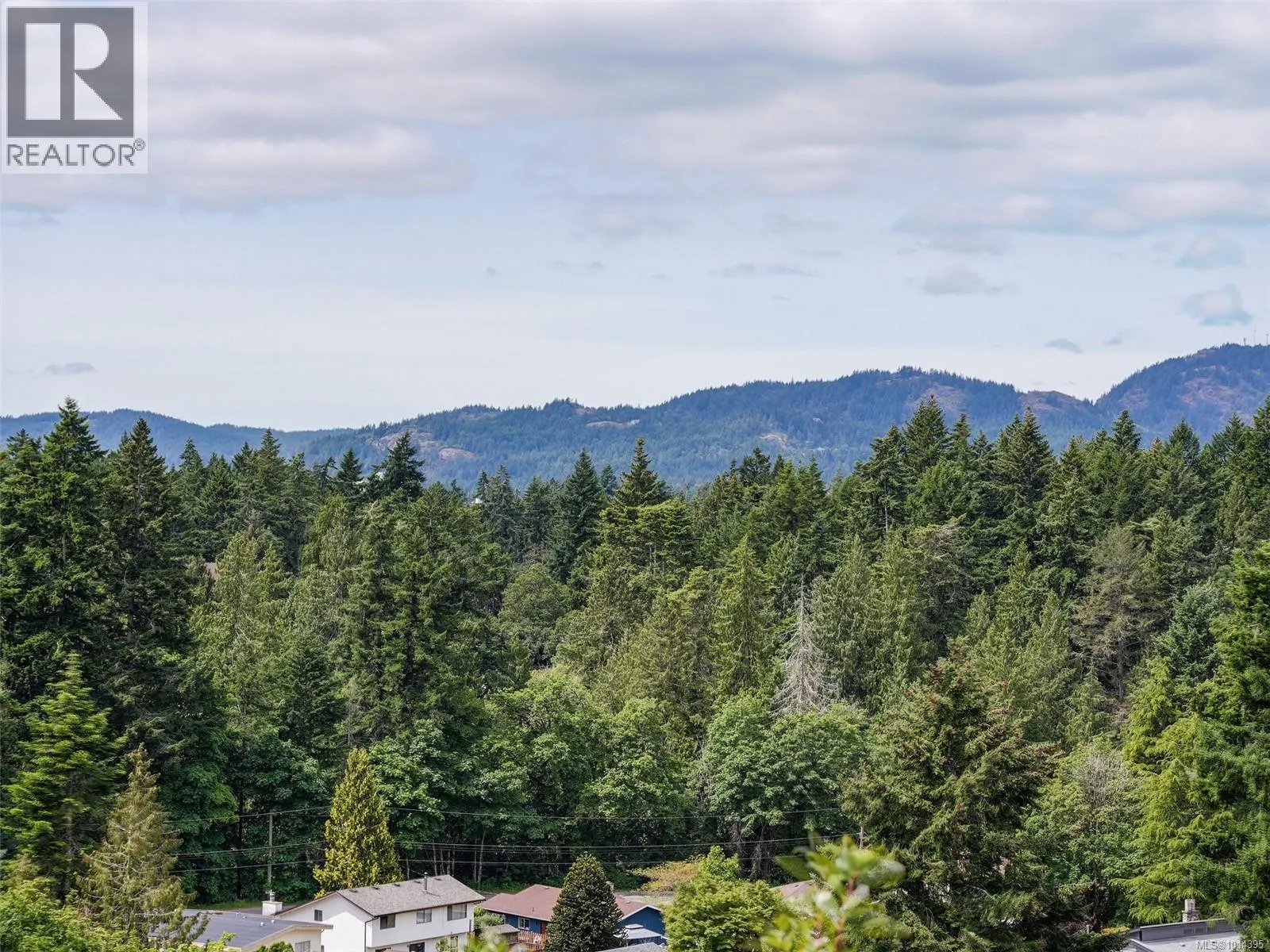641 Olympia Ridge