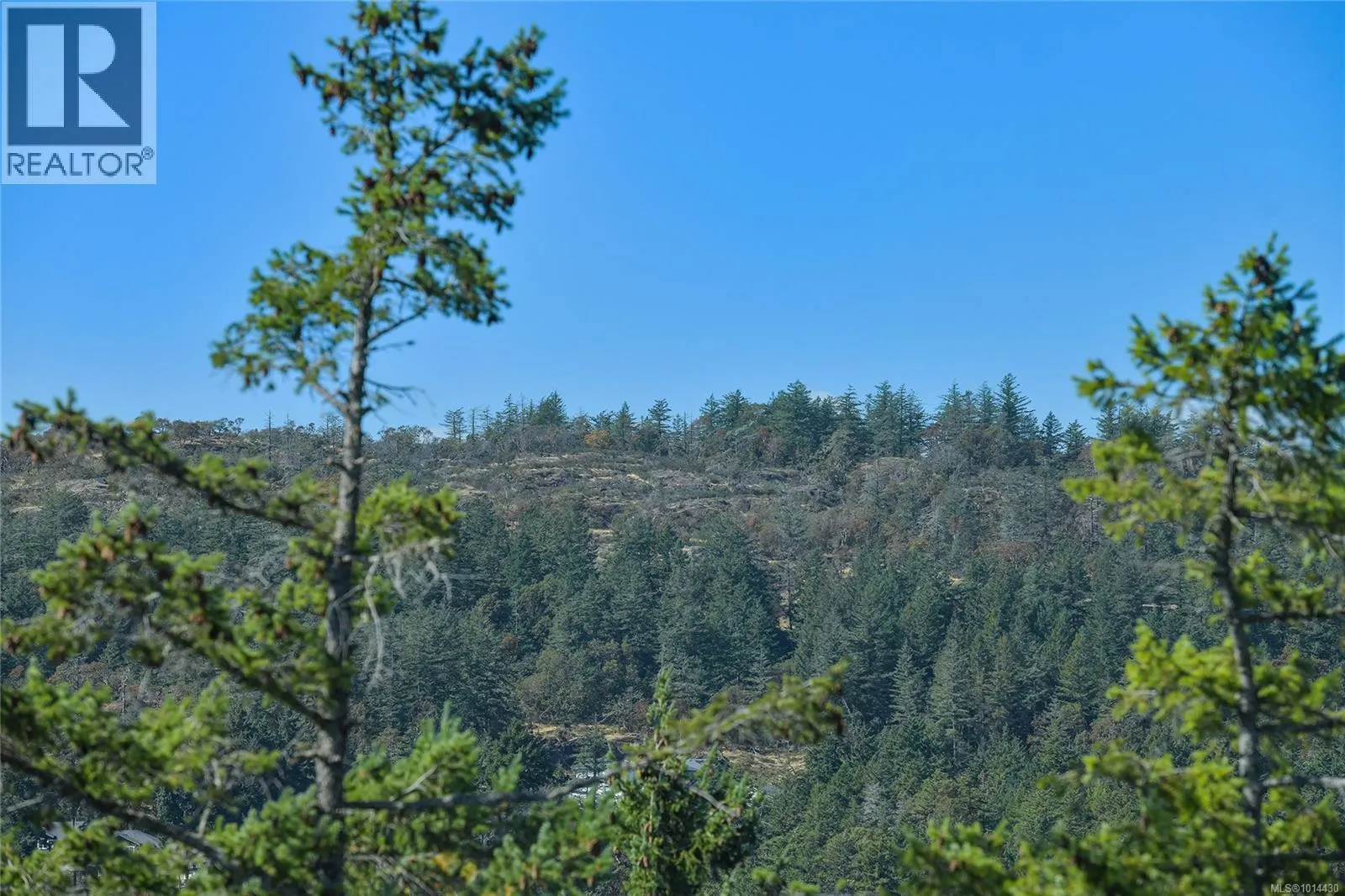 403 290 Wilfert Rd