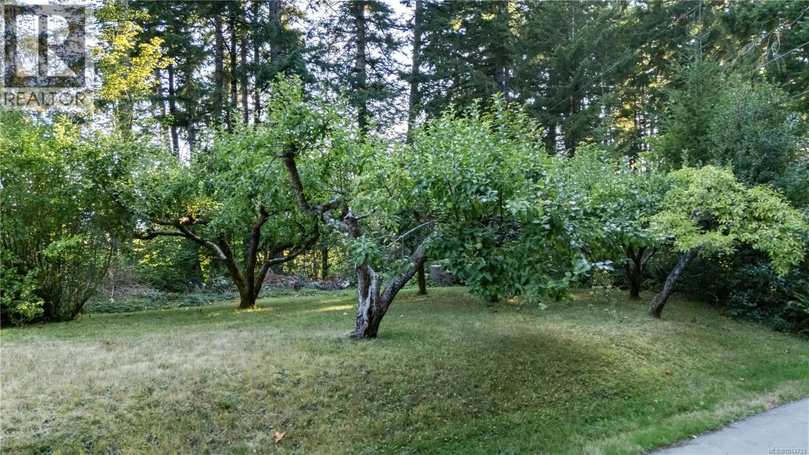 1850 Alberni Hwy