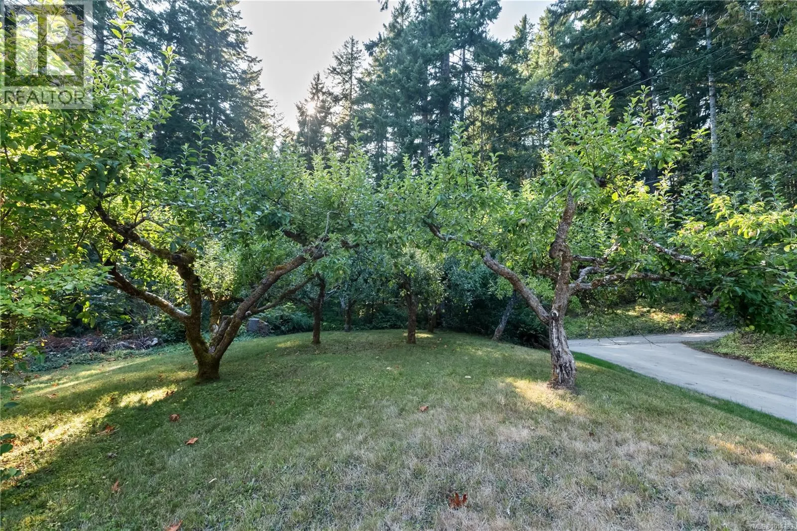 1850 Alberni Hwy