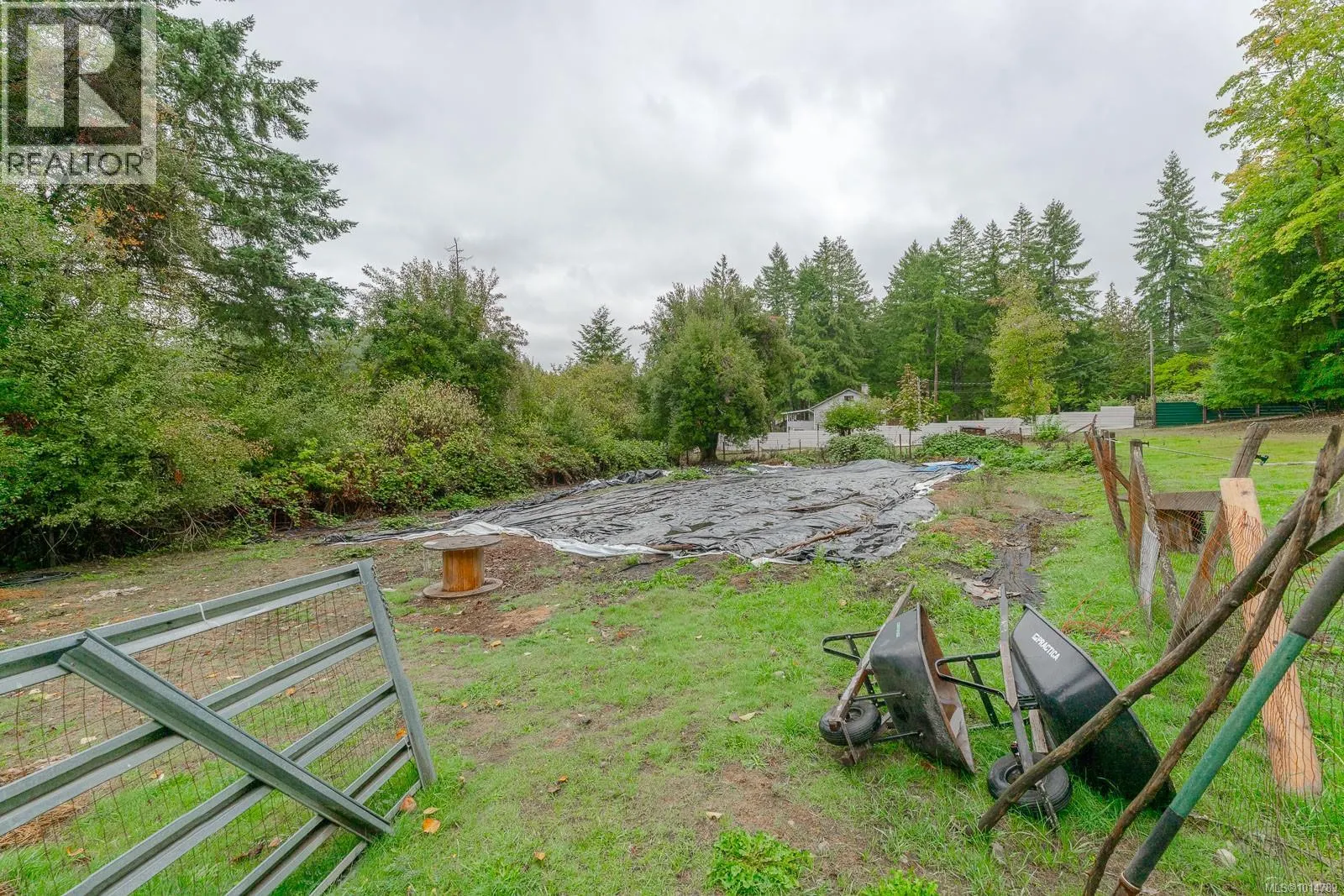 3585 Glenora Rd