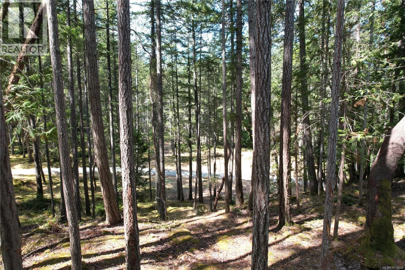 Lt 13 Sitka Grove