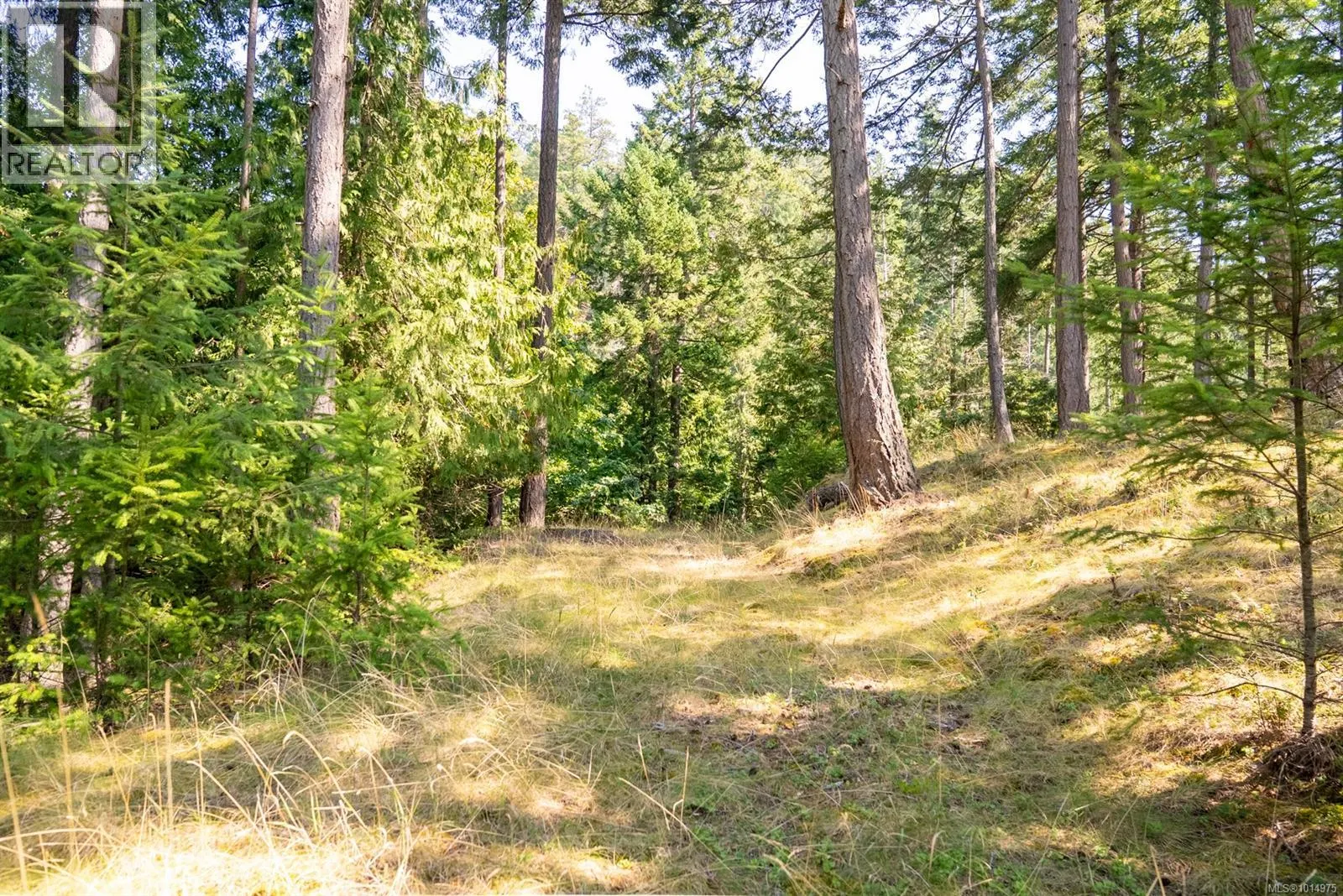8807 Ainslie Point Rd