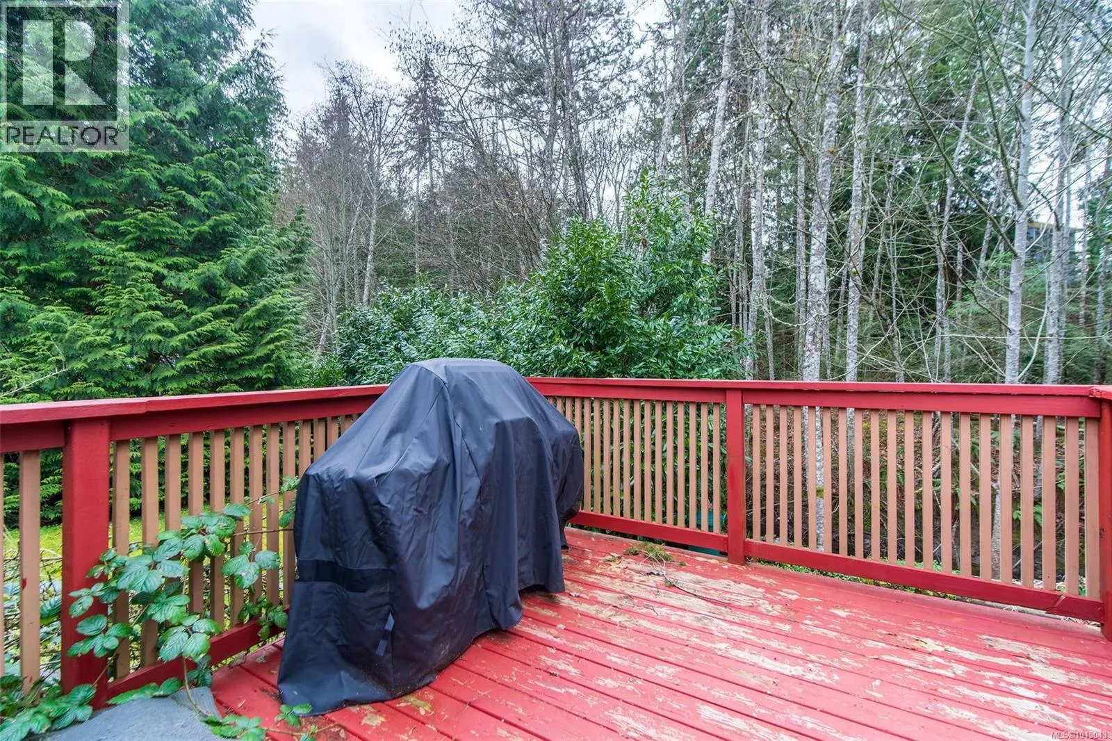 54 2587 Selwyn Rd