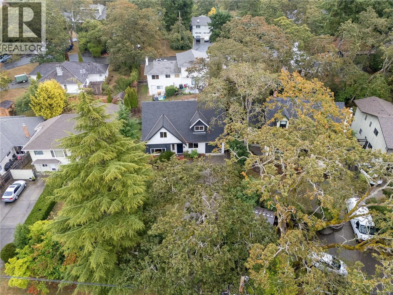 3909 Blenkinsop Rd