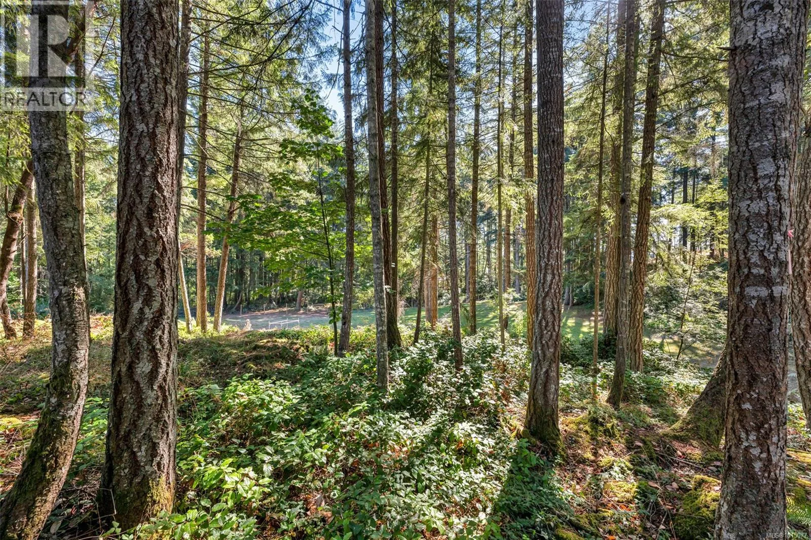 1750 Escarpment Way