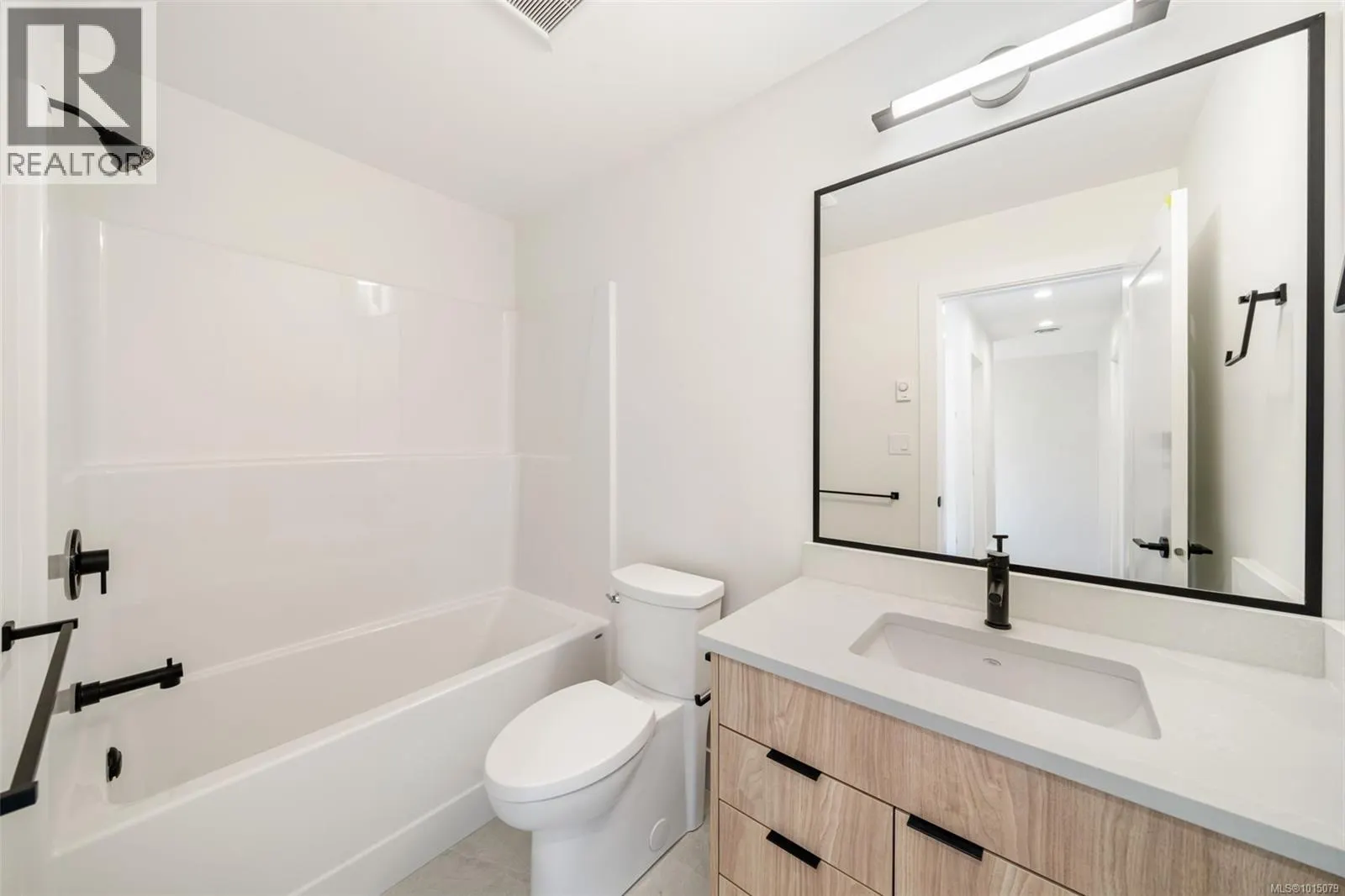1447 Dolomite Ridge