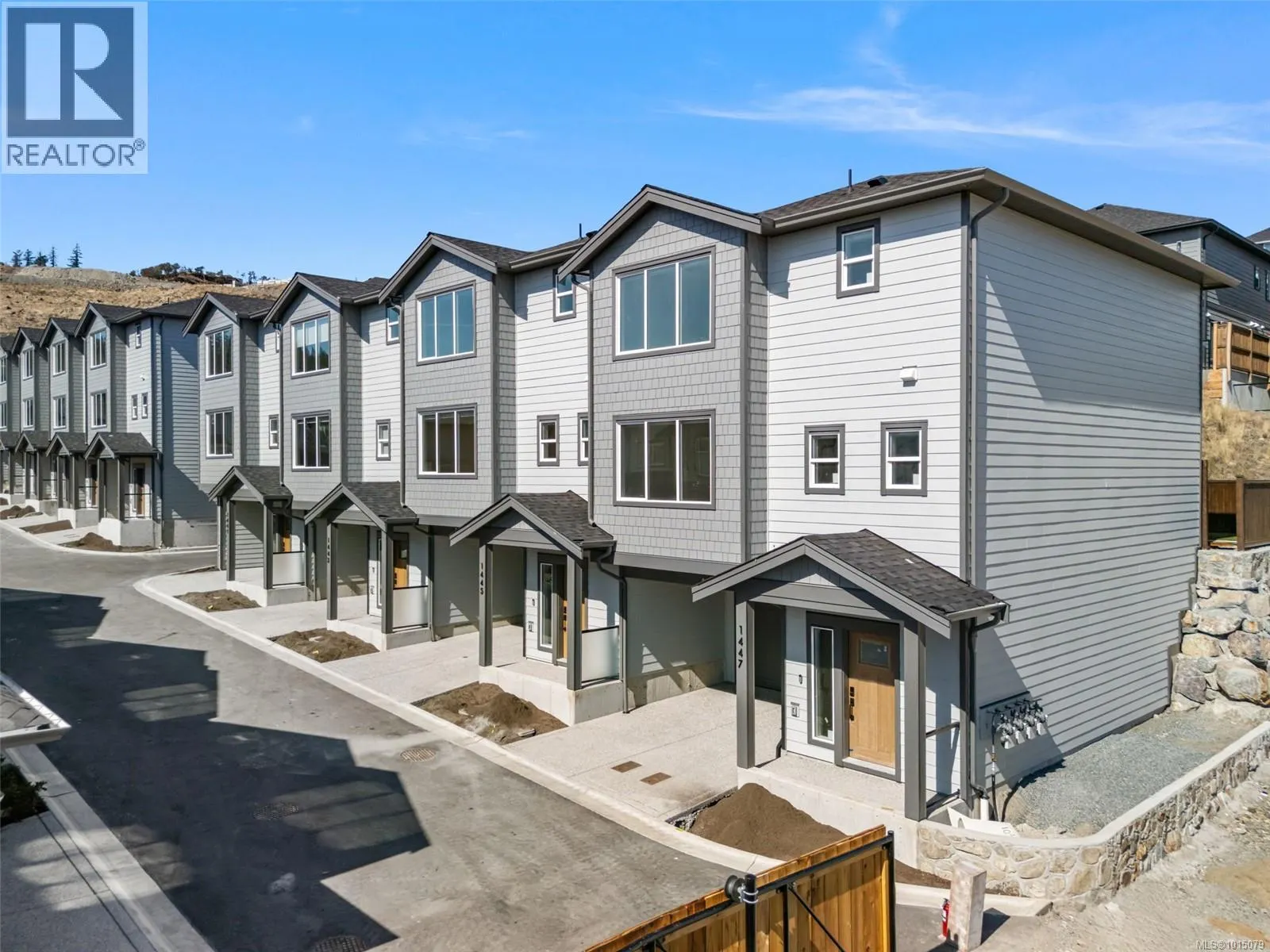 1447 Dolomite Ridge