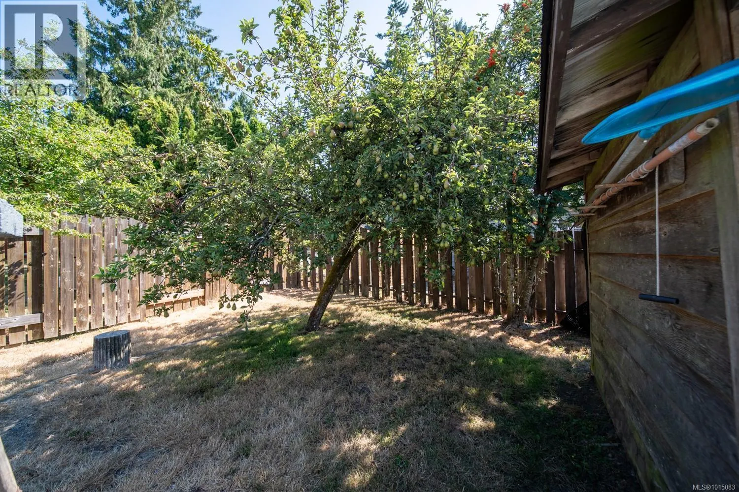3603 SUNRISE Pl