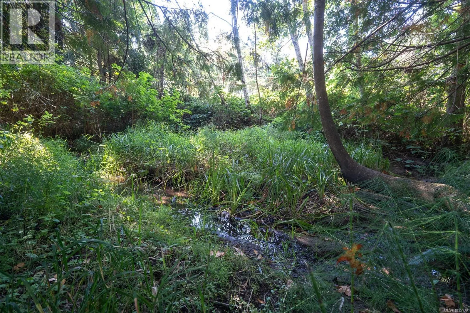 110 Ross Rd