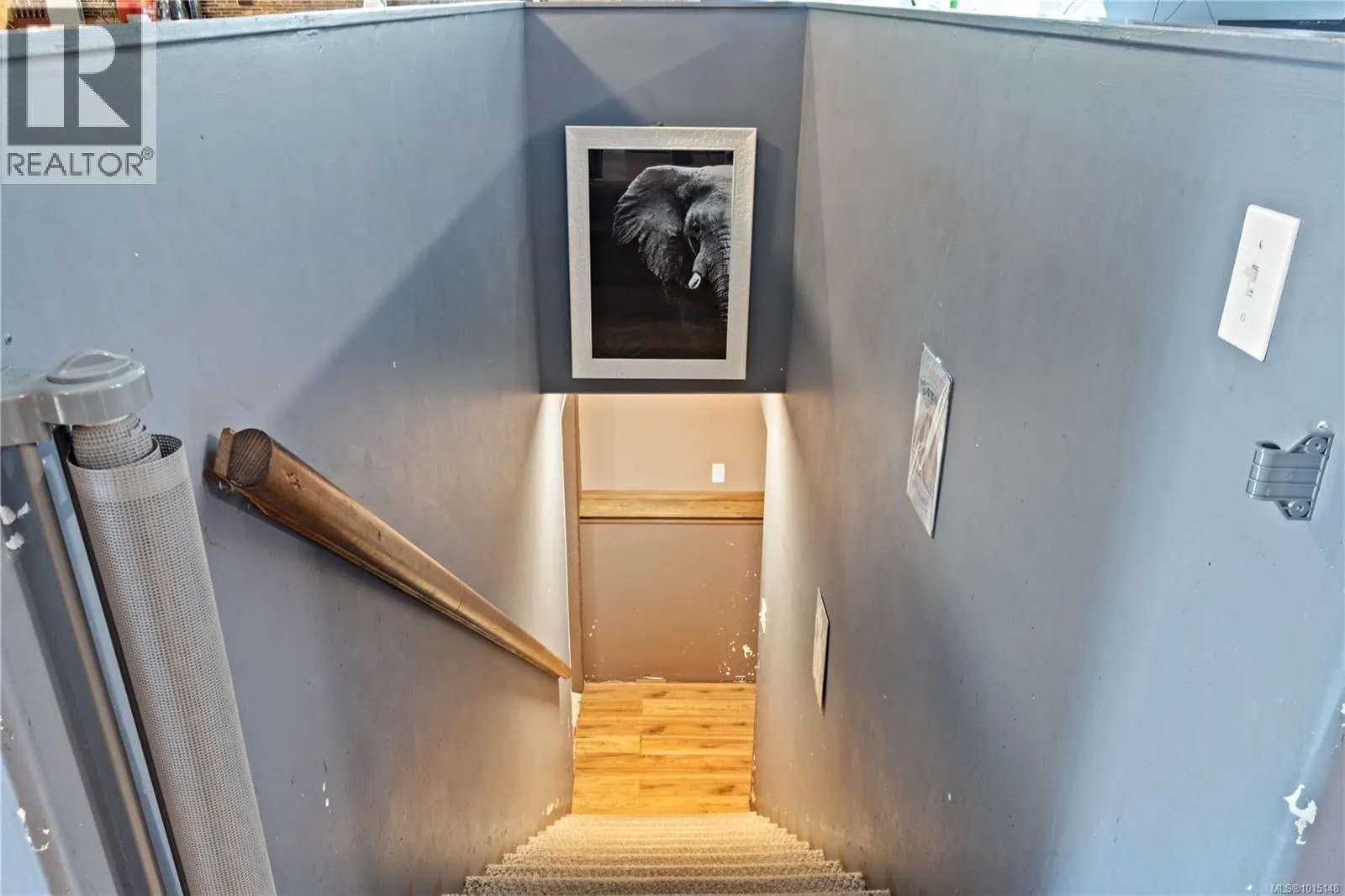 2830 Steelhead Trail