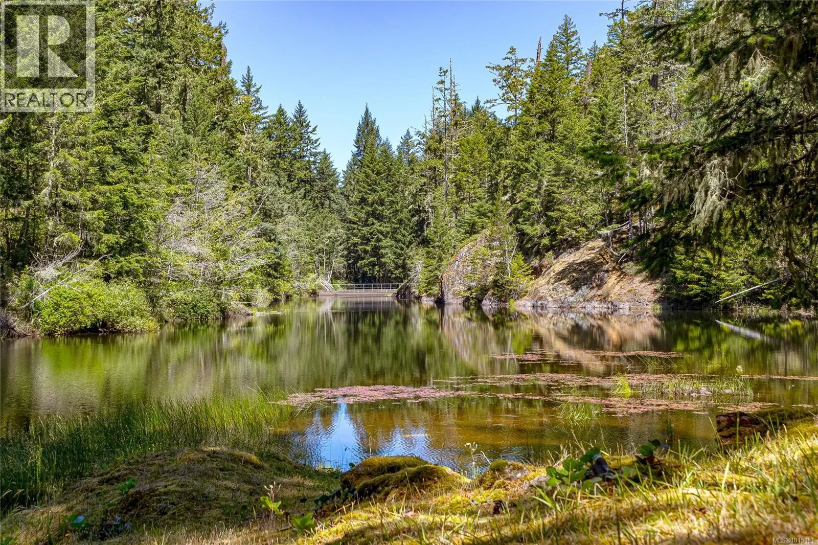 4928 Mt. Matheson Rd