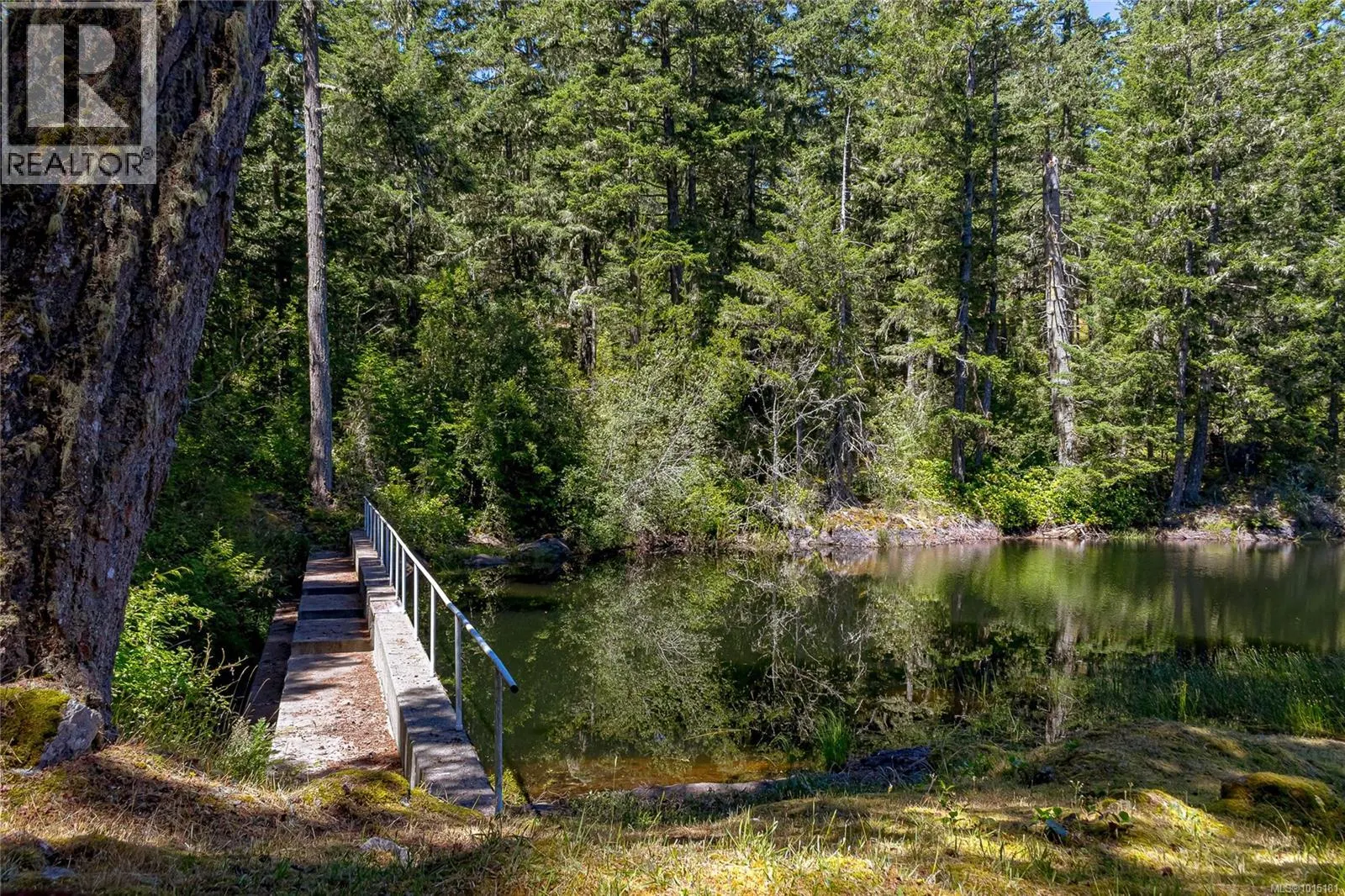 4928 Mt. Matheson Rd
