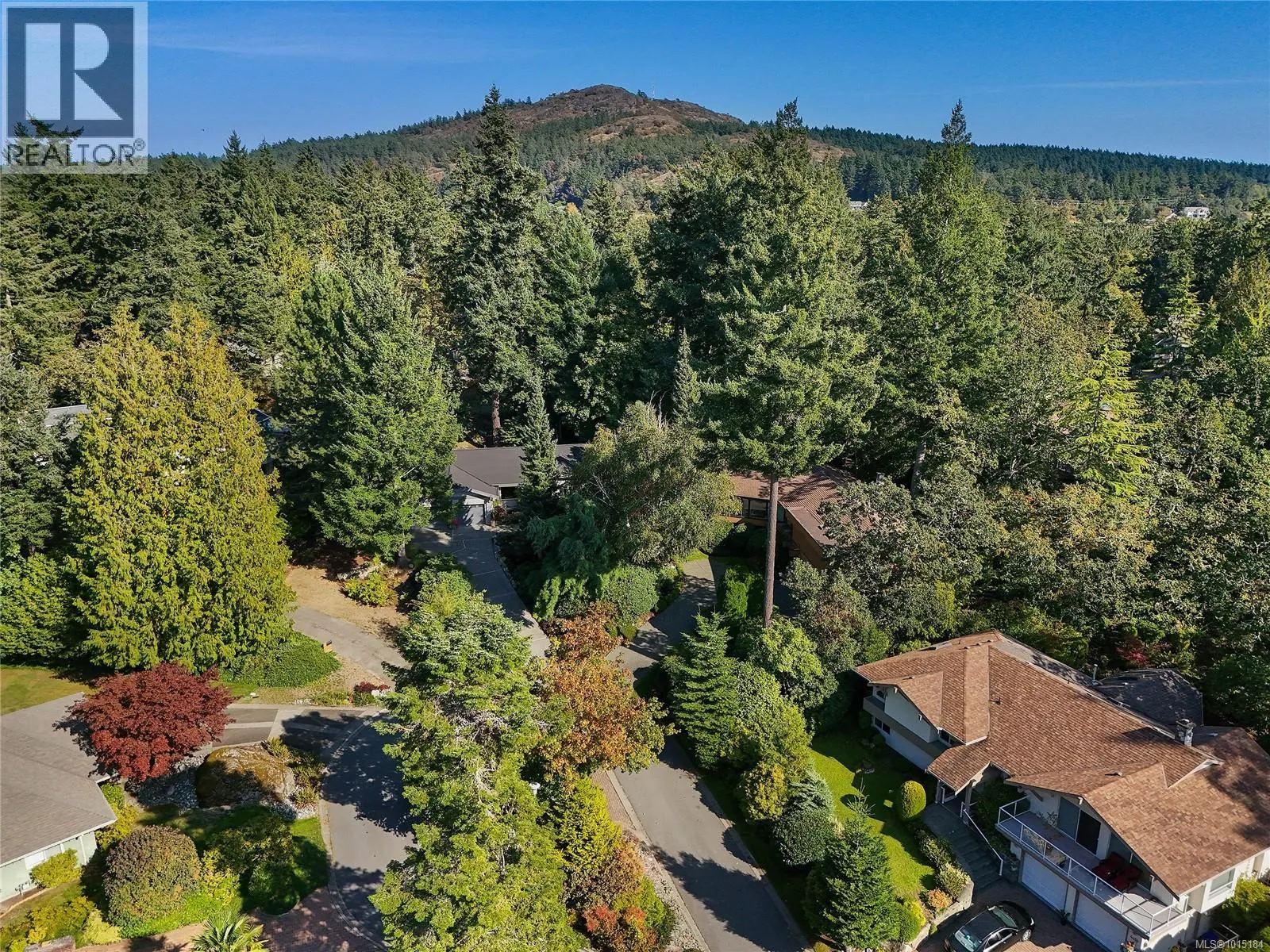 4467 Autumnwood Lane