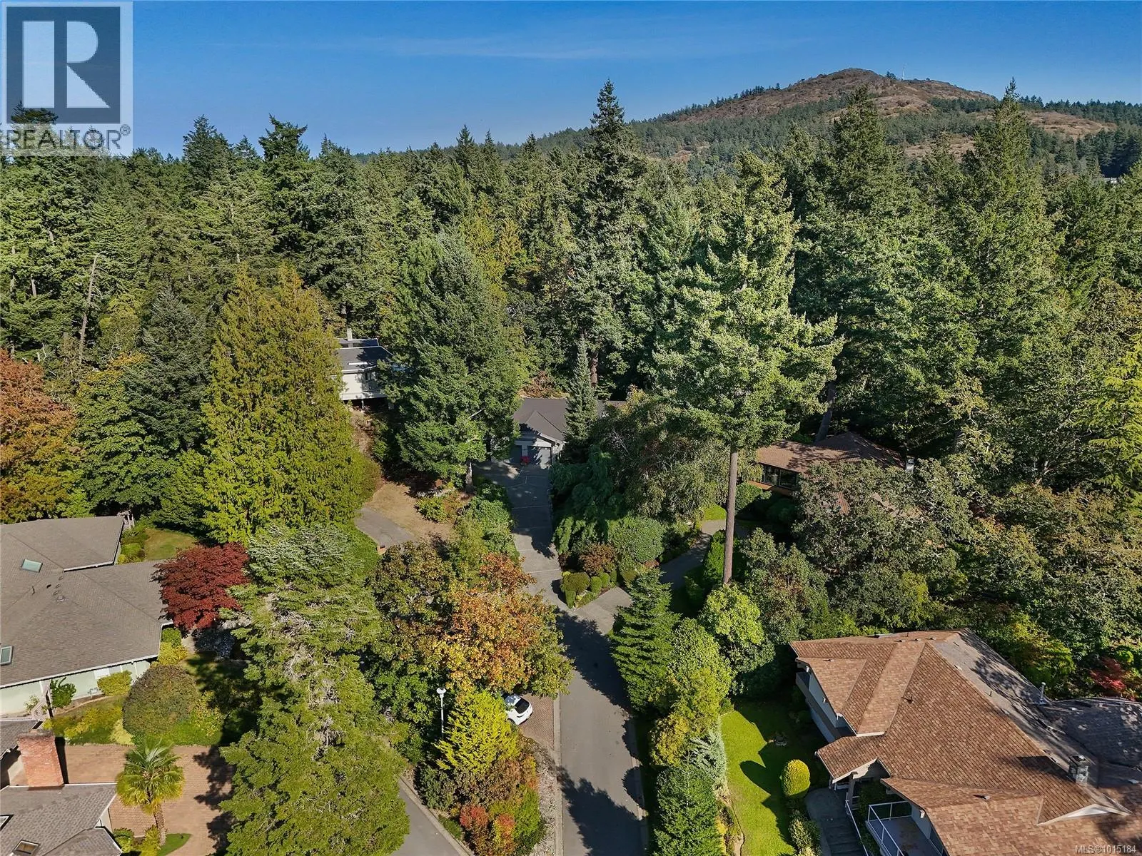 4467 Autumnwood Lane