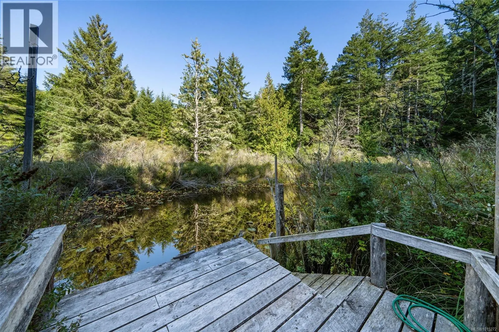 2295 King Rd