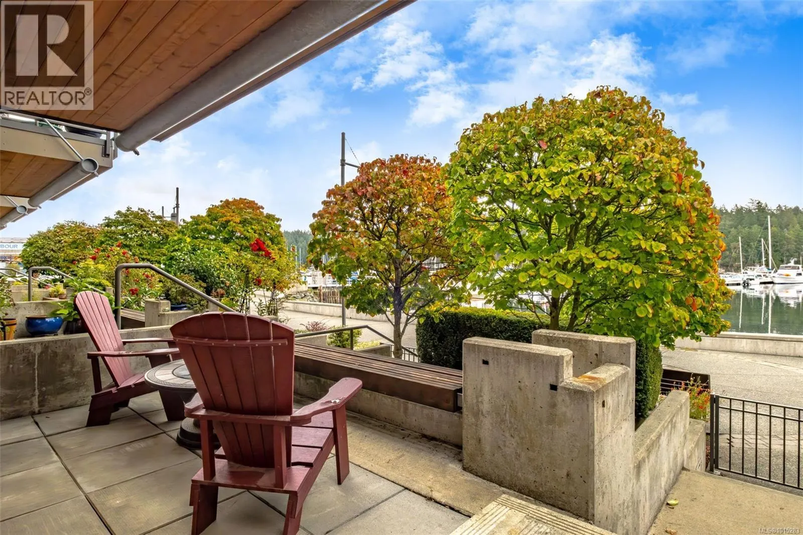 31 Cypress St