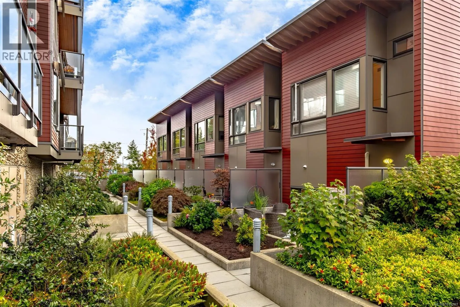31 Cypress St