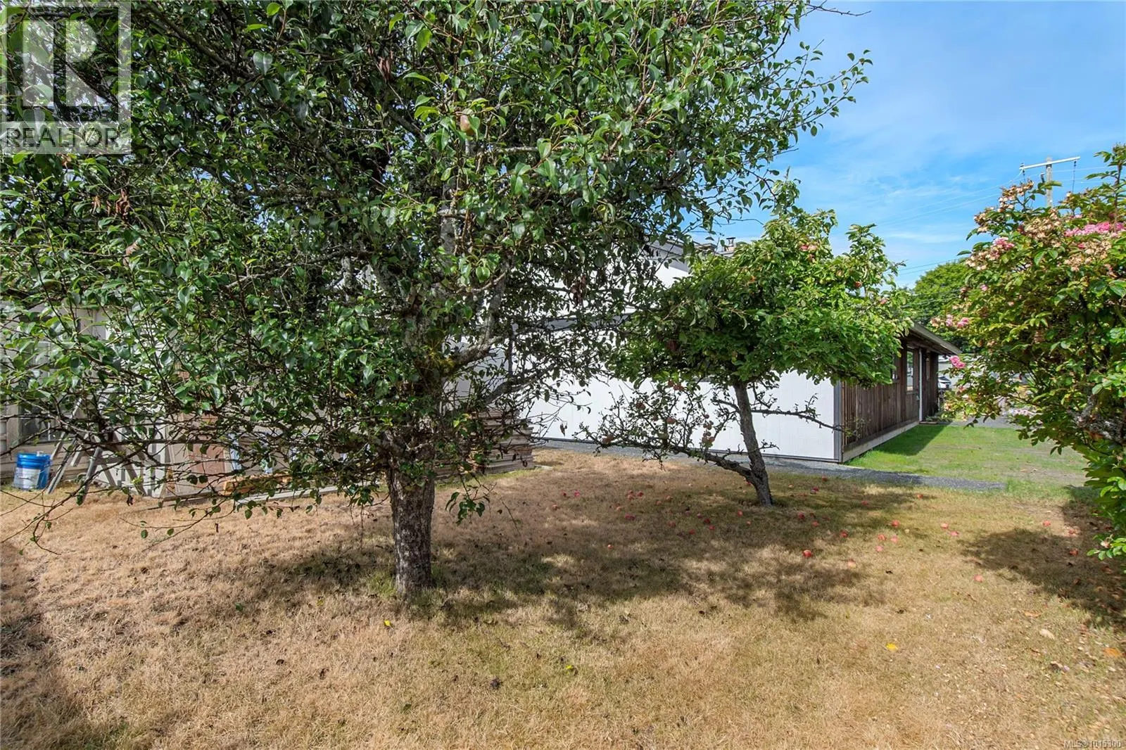 217 Larwood Rd