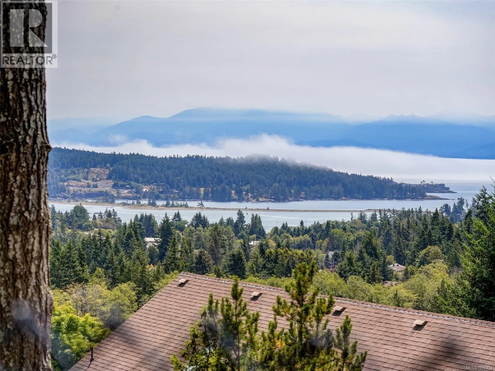 2407 Mountain Heights Dr