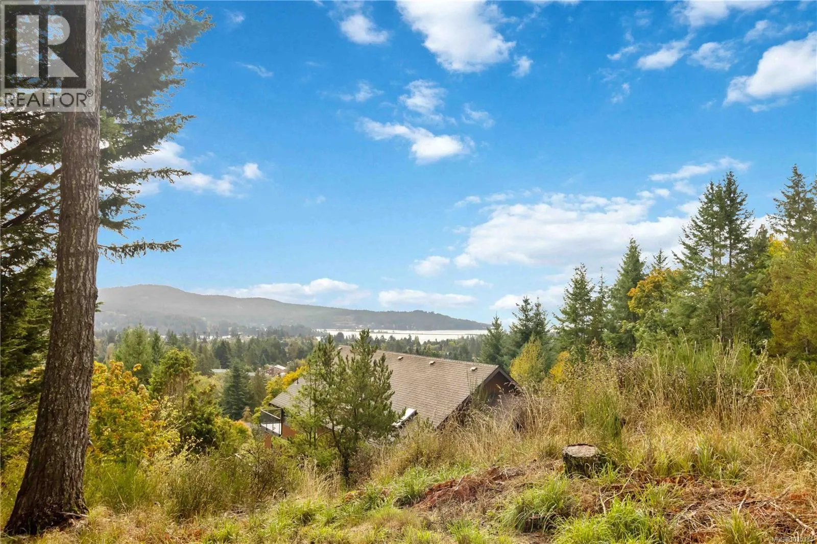 2407 Mountain Heights Dr