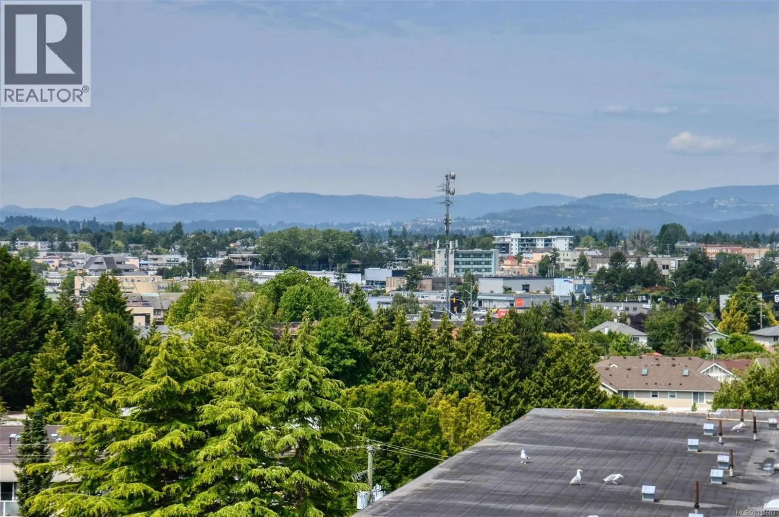 408 3260 Quadra St