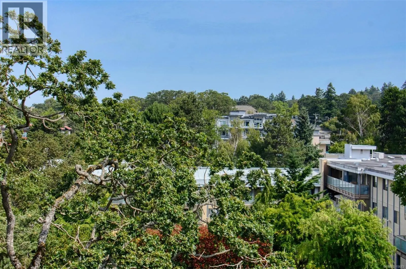 408 3260 Quadra St
