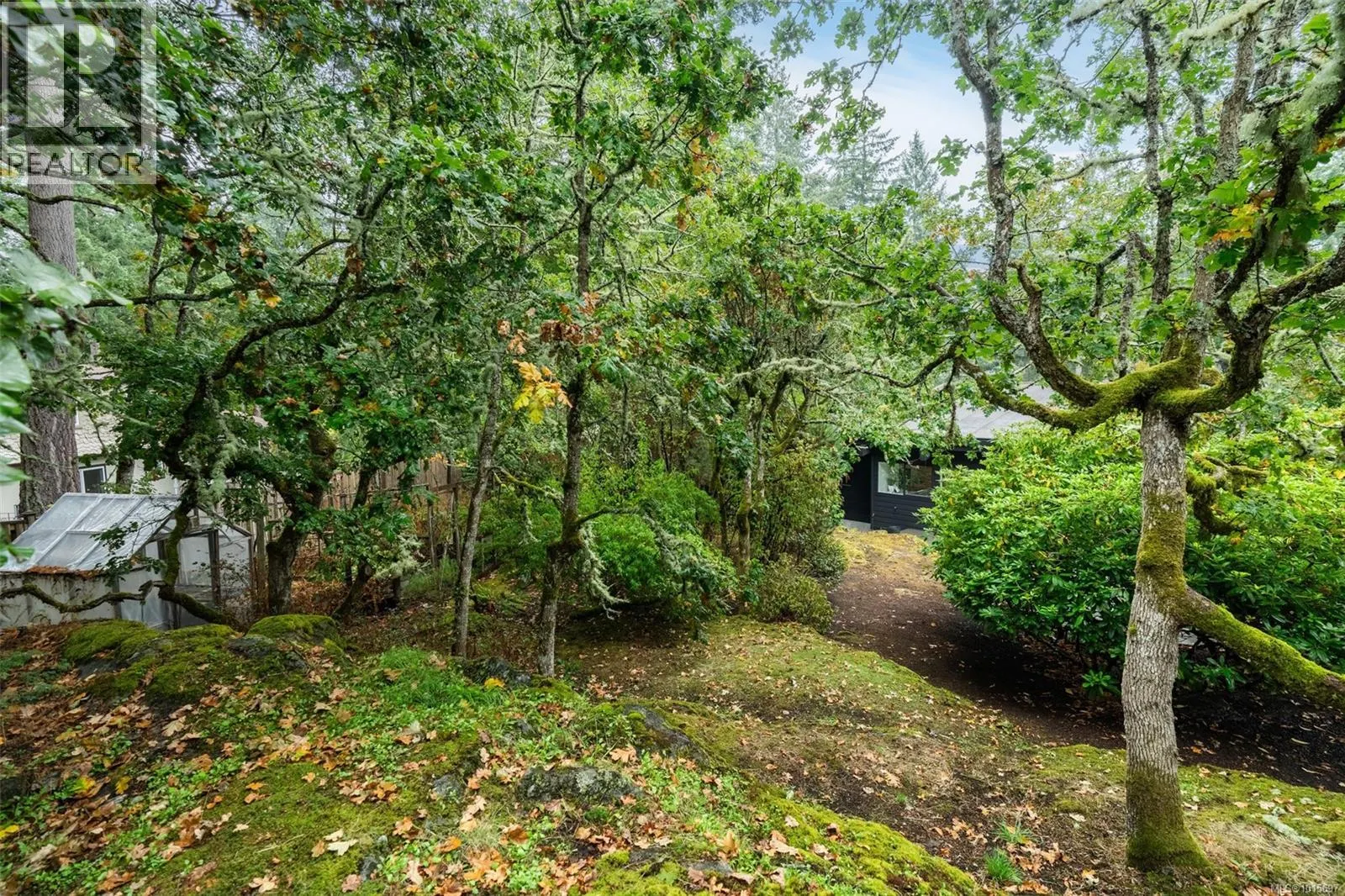 4464 Sunnywood Pl