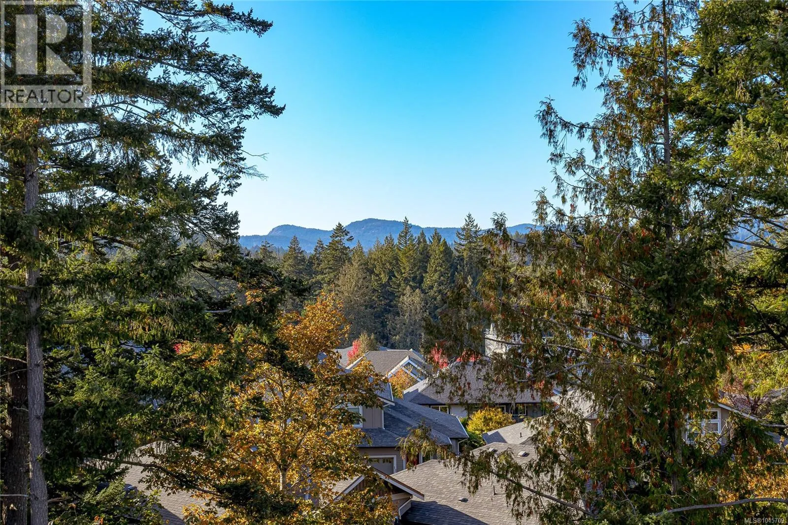 3638 Ridge View Terr