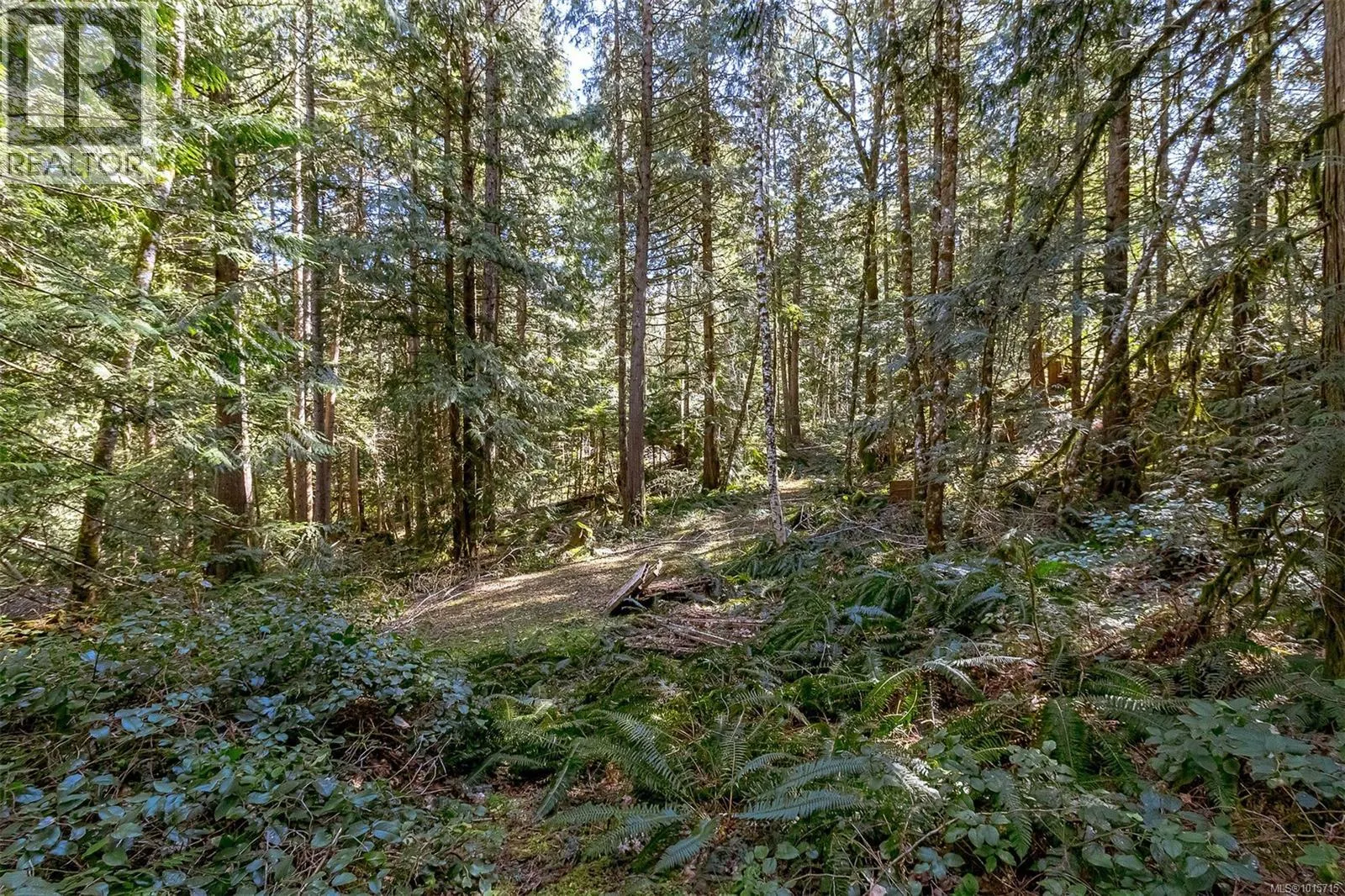 Lot 12 Mountain Rd