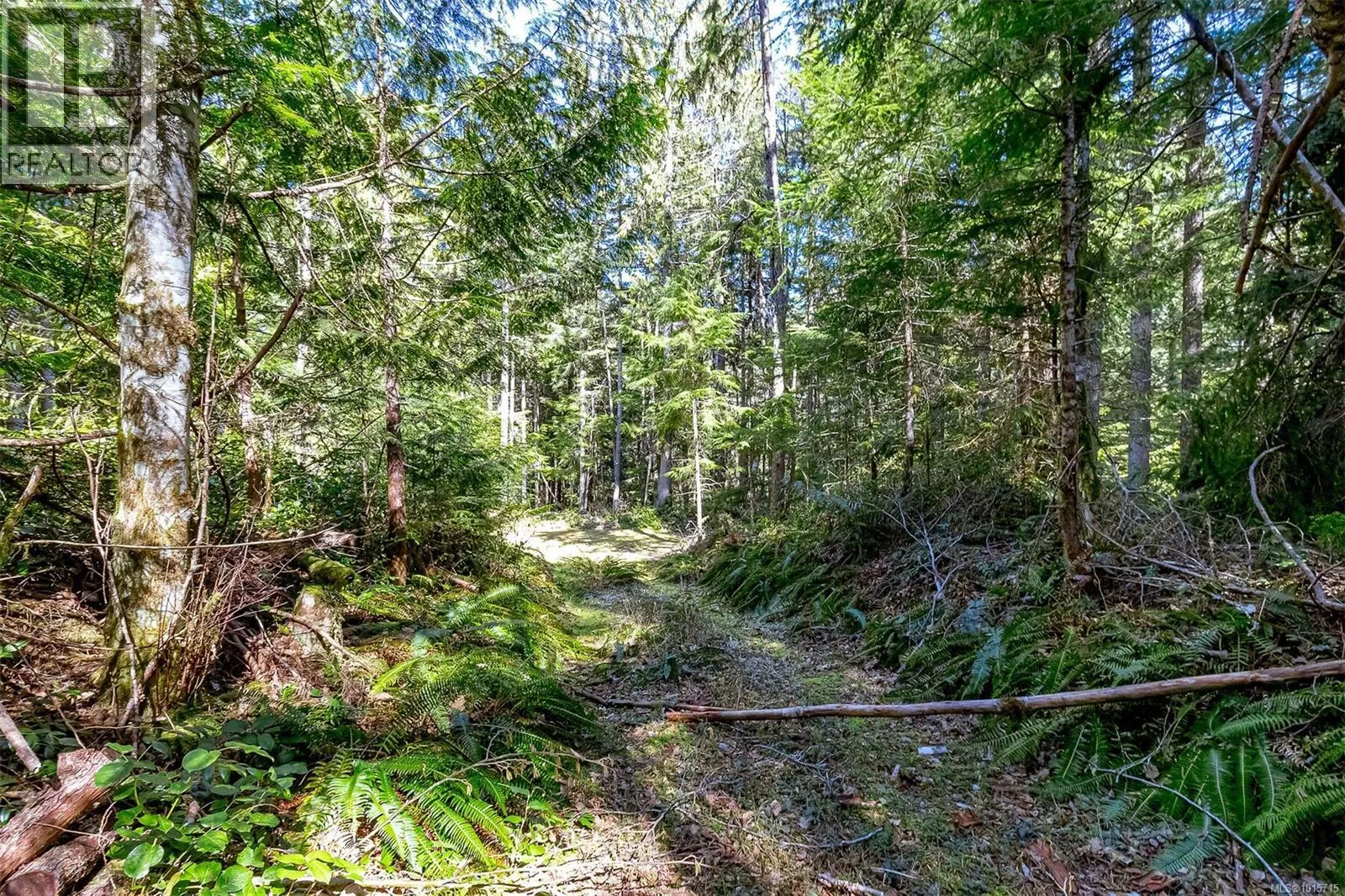 Lot 12 Mountain Rd