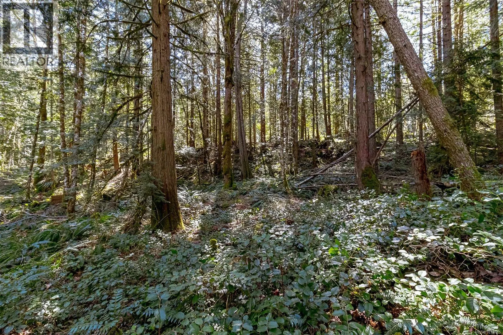Lot 12 Mountain Rd