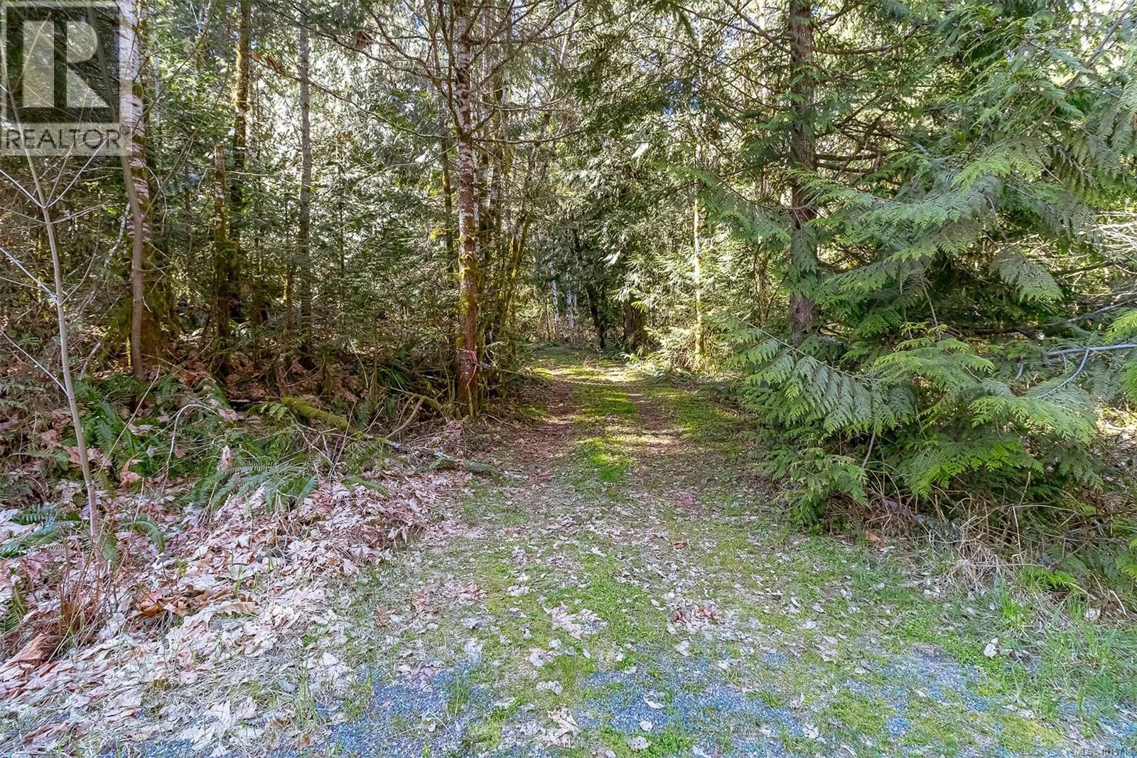 Lot 12 Mountain Rd