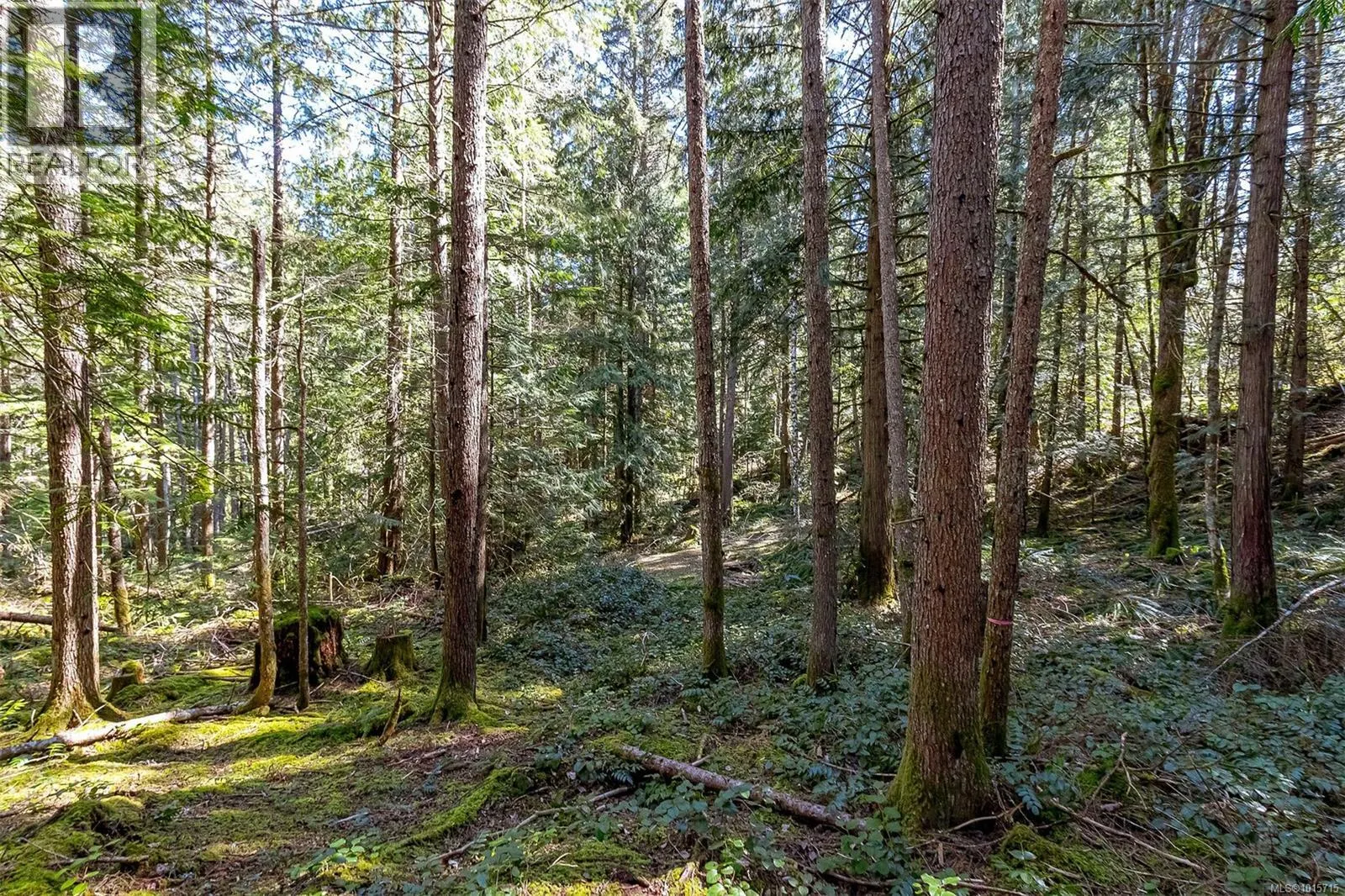 Lot 12 Mountain Rd