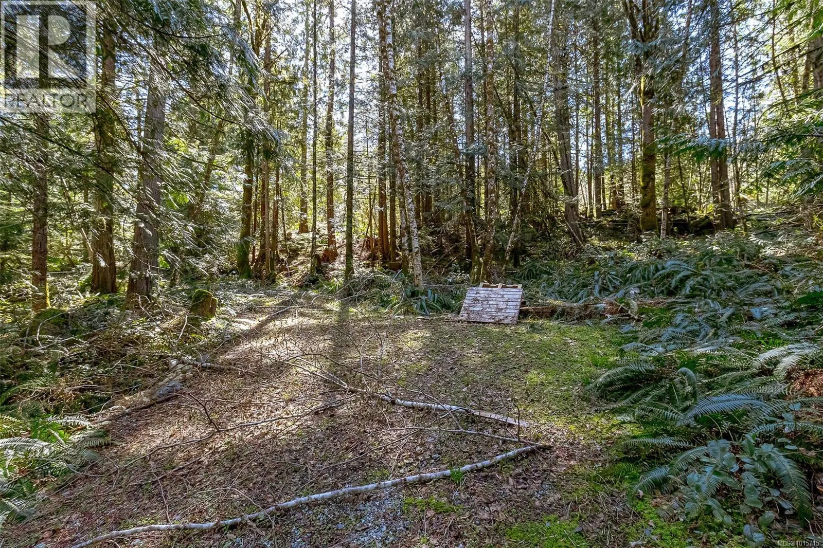 Lot 12 Mountain Rd