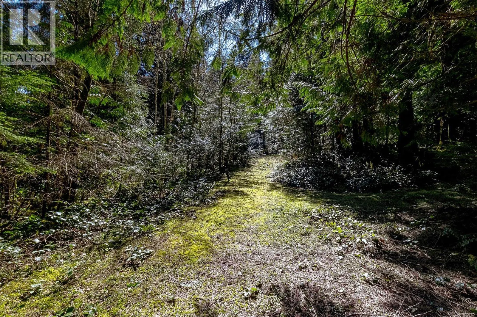 Lot 12 Mountain Rd