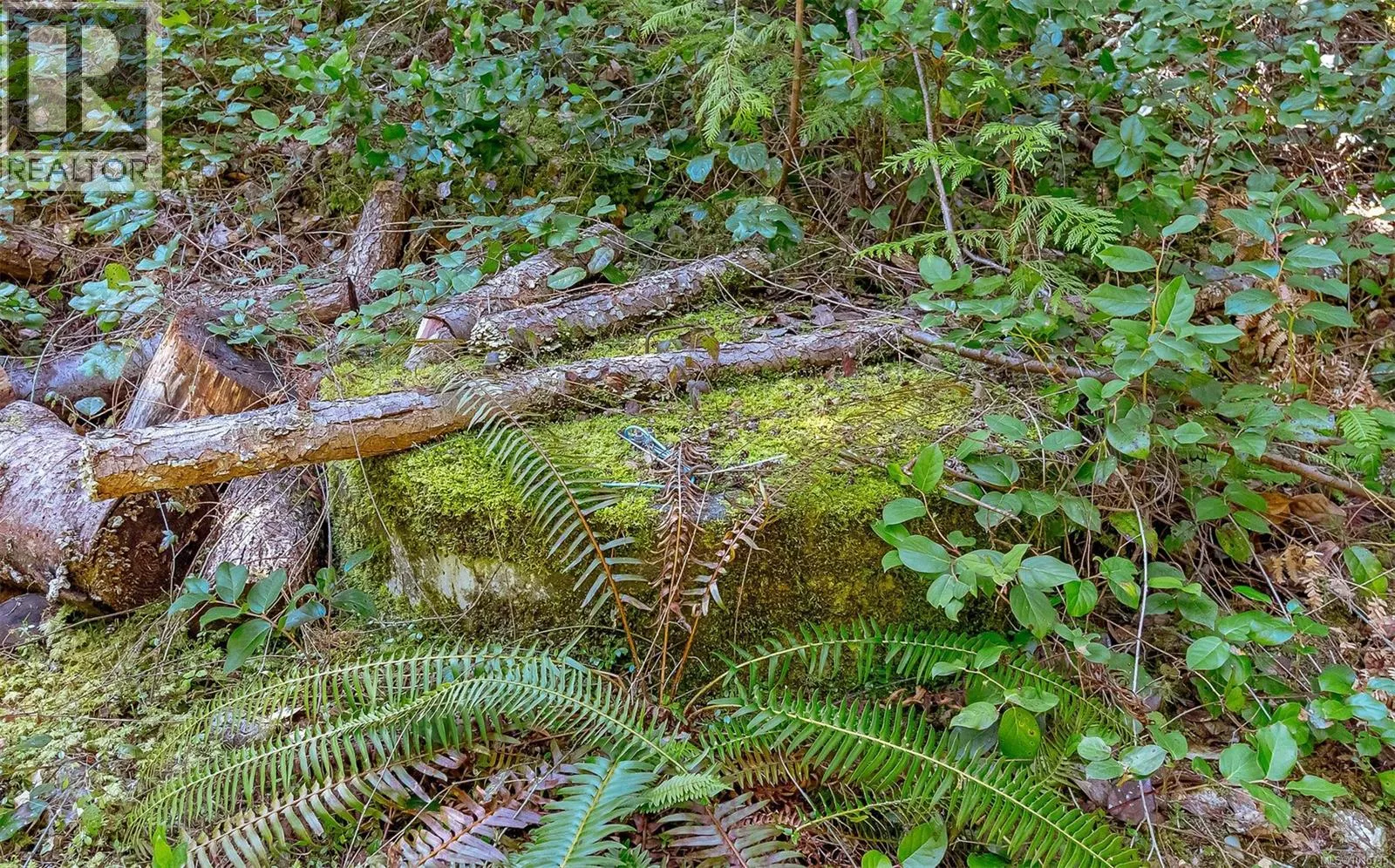Lot 12 Mountain Rd