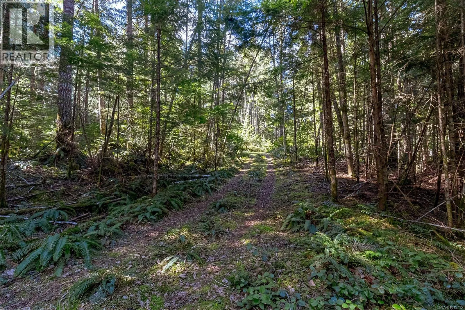 Lot 12 Mountain Rd