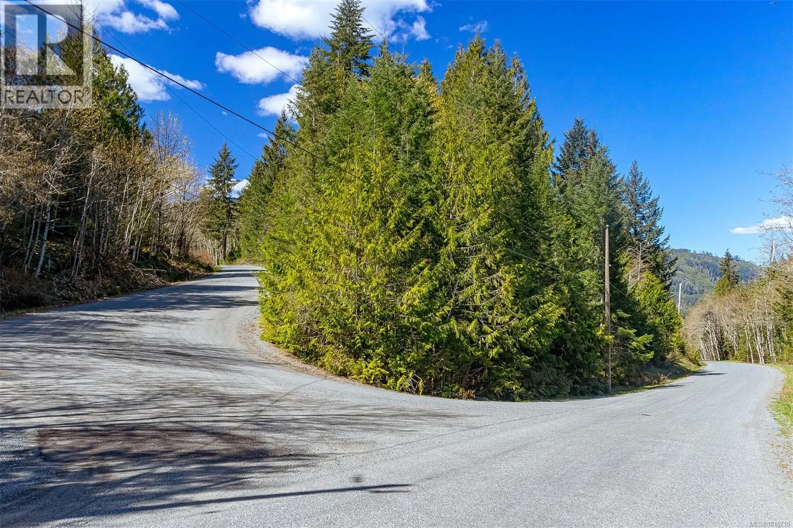 Lot 12 Mountain Rd